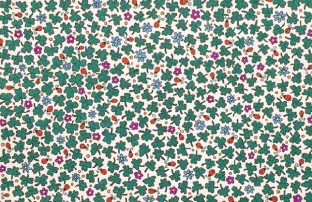 Tu c&acirc;t de repede găseşti trifoiul cu patru foi &icirc;n imagine? Un copil de clasa I &icirc;l va vedea &icirc;ntr-un minut