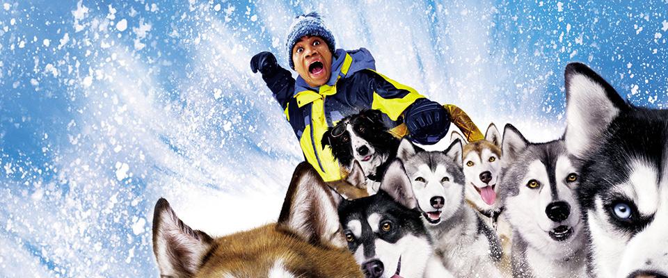 Te-a dobor&acirc;t canicula? Răcorește-te s&acirc;mbătă, la Antena 1, alături de &bdquo;C&acirc;inii Zăpezii&rdquo;