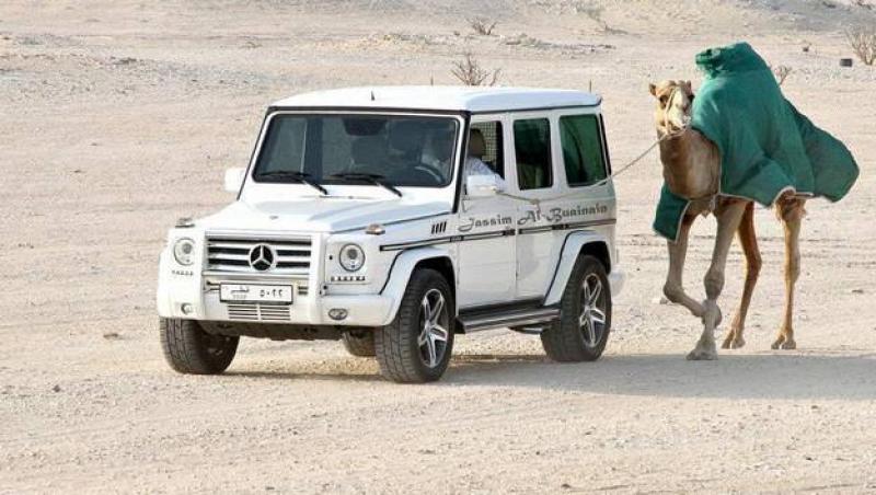 În Dubai, arabii își cumpără leoparzi ca animale de companie! Și asta nu e tot! Galerie foto cu cele mai excentrice faze ale locuitorilor!