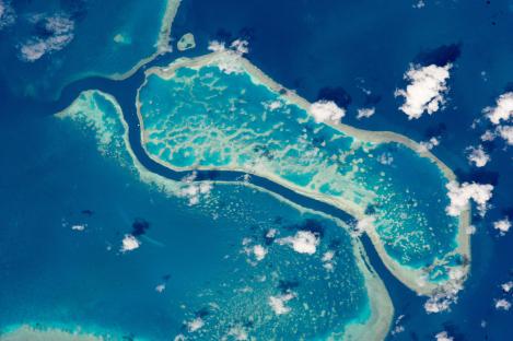 Alertă mondială. 35 % din Marea Barieră de Corali a dispărut, iar previziunile sunt sumbre!