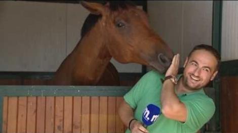 Un cal a făcut zile fripte unui reporter, în direct! Animalul avea neapărat ceva de zis la microfon! Râzi cu lacrimi! (VIDEO)