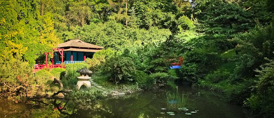 Grădina Botanică &rdquo;Alexandru Borza&rdquo;, una dintre cele mai frumoase din Rom&acirc;nia