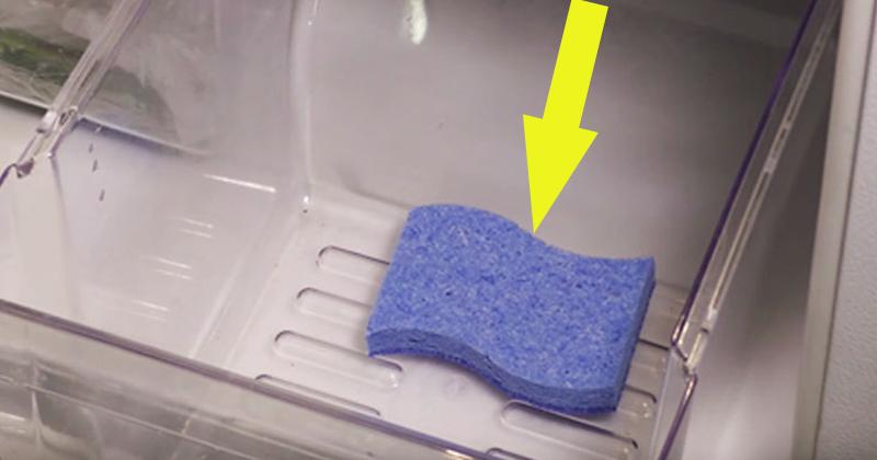 O gospodină a băgat un burete &icirc;n frigider și a așteptat! &Icirc;n scurt timp a observat minunea!