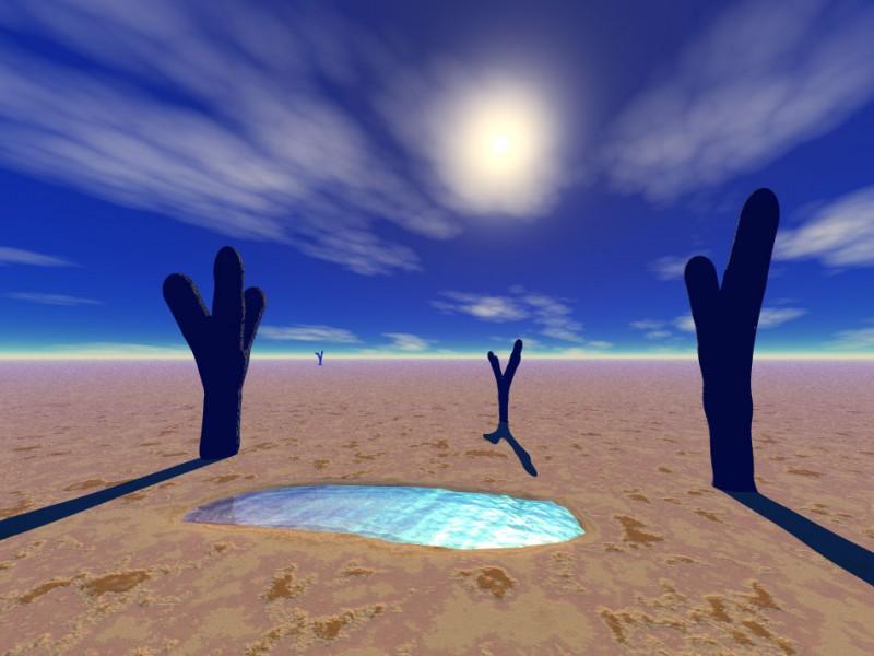 Testul OAZEI &icirc;ți dezvăluie cum iei cele mai importante decizii din viață. Nu dă greș vreodată!