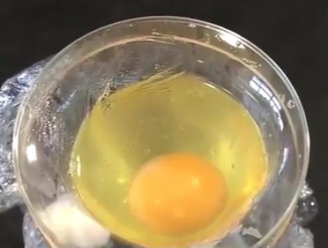 Experimentul anului! Studenții au spart un ou într-un pahar și au așteptat! În scurt timp, puiul fugea prin laborator! Cum a fost posibil așa ceva?