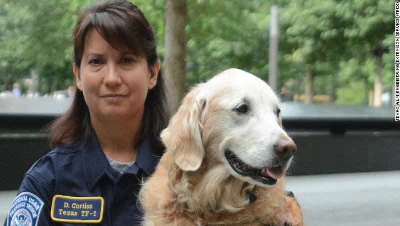 Imagini de-o emoție aparte! A căutat timp de zece zile sub dărâmături. Ultimul câine salvator din 11 septembrie 2001, rămas în viață, și-a găsit sfârșitul sub salutul de onoare al pompierilor
