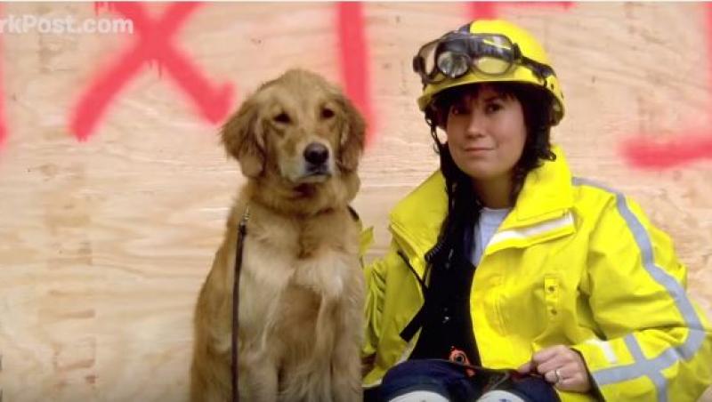 Imagini de-o emoție aparte! A căutat timp de zece zile sub dărâmături. Ultimul câine salvator din 11 septembrie 2001, rămas în viață, și-a găsit sfârșitul sub salutul de onoare al pompierilor