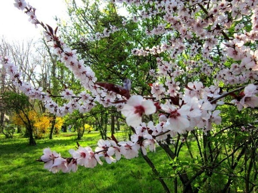 Aveți planuri pentru weekend? Vremea vi le poate da peste cap! Prognoză meteo surprinzătoare pentru Cireșar