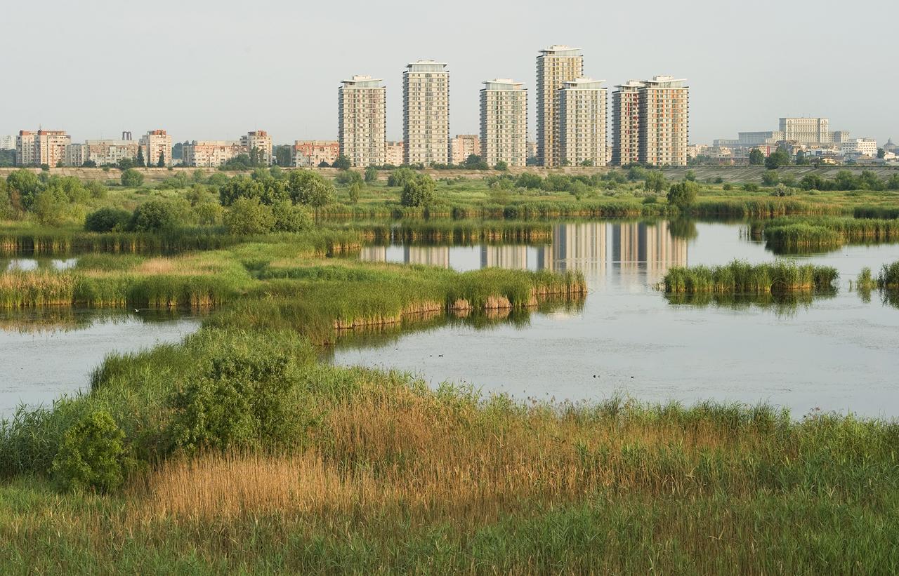 Un nou incendiu &icirc;n Delta Văcărești! Ard 1.000 de metri pătrați de vegetație