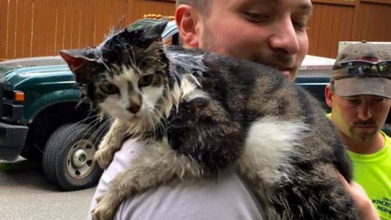 Misiune de salvare fără precedent, Pisica are șapte vieți, dar îi trebuie ajutor!