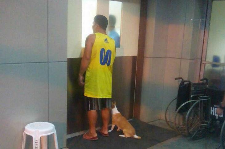 &Icirc;ți dau lacrimile! Stăp&acirc;nul era resuscitat de medici, atunci c&acirc;nd cățelul său credincios a făcut un gest emoționant!