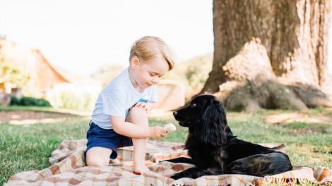 Fotografia în care prințul George apare alături de un câine a stârnit o polemică uriașă. Casa Regală, acuzată de rele tratamente asupra animalelor