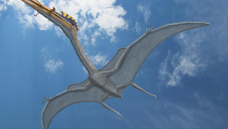 Dinozaur descoperit în România, expus la Muzeul Antipa! Cum arată creatura cu aripi de 12 metri!