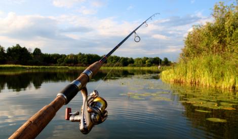 Pescarii nu se așteptau la o asemenea veste! Capturi de pește extrem de scăzute în Delta Dunării