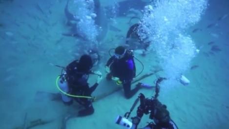 Love is in the... water: s-au logodit în apă, printre rechini. VIDEO