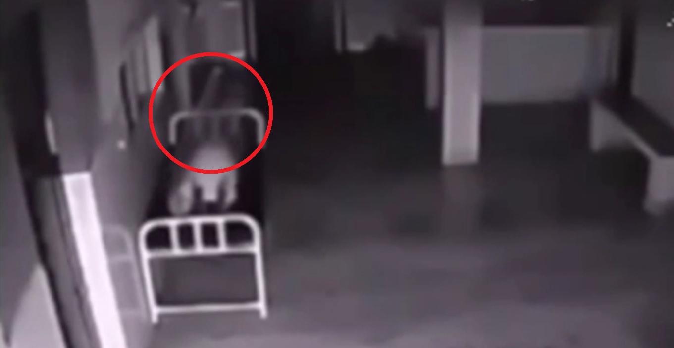 Imaginile care &icirc;ți &icirc;ngheață s&acirc;ngele &icirc;n vene! Ce se &icirc;nt&acirc;mplă după ce o femeie moare pe patul de spital - VIDEO