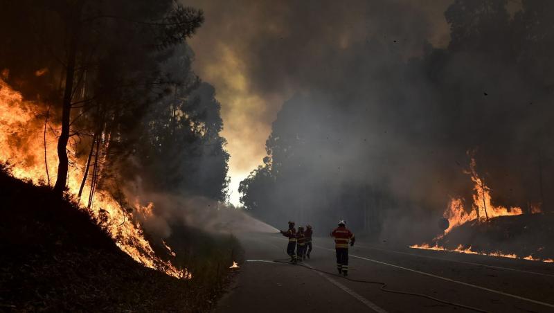 Imagini dramatice în Madeira. MAE atenționează toți turiștii români! Peste 1.000 de persoane au fost evacuate și alte trei și-au pierdut viața