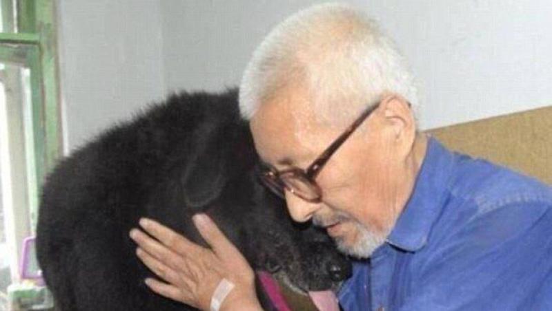 Dragoste dincolo de moarte! La 71 de ani, un stăpân lasă moștenire întreaga avere unui refugiu care să aibă grijă de câinele lui