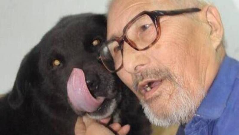 Dragoste dincolo de moarte! La 71 de ani, un stăpân lasă moștenire întreaga avere unui refugiu care să aibă grijă de câinele lui