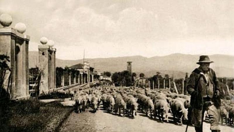 La 1800, Amatrice era „raiul păstorilor”. După 2000, atrăgea sute de turiști. Astăzi, s-a transformat într-un morman de ruine