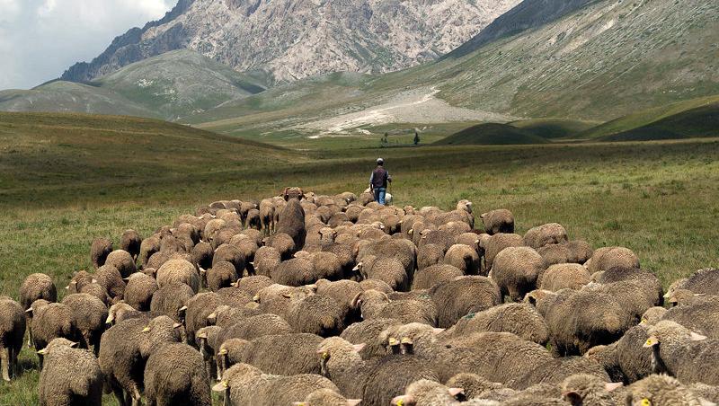 La 1800, Amatrice era „raiul păstorilor”. După 2000, atrăgea sute de turiști. Astăzi, s-a transformat într-un morman de ruine