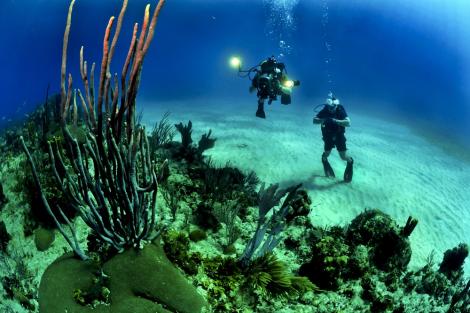 Explorează tărâmul subacvatic al Mării Ionice, într-o escapadă în Kefalonia