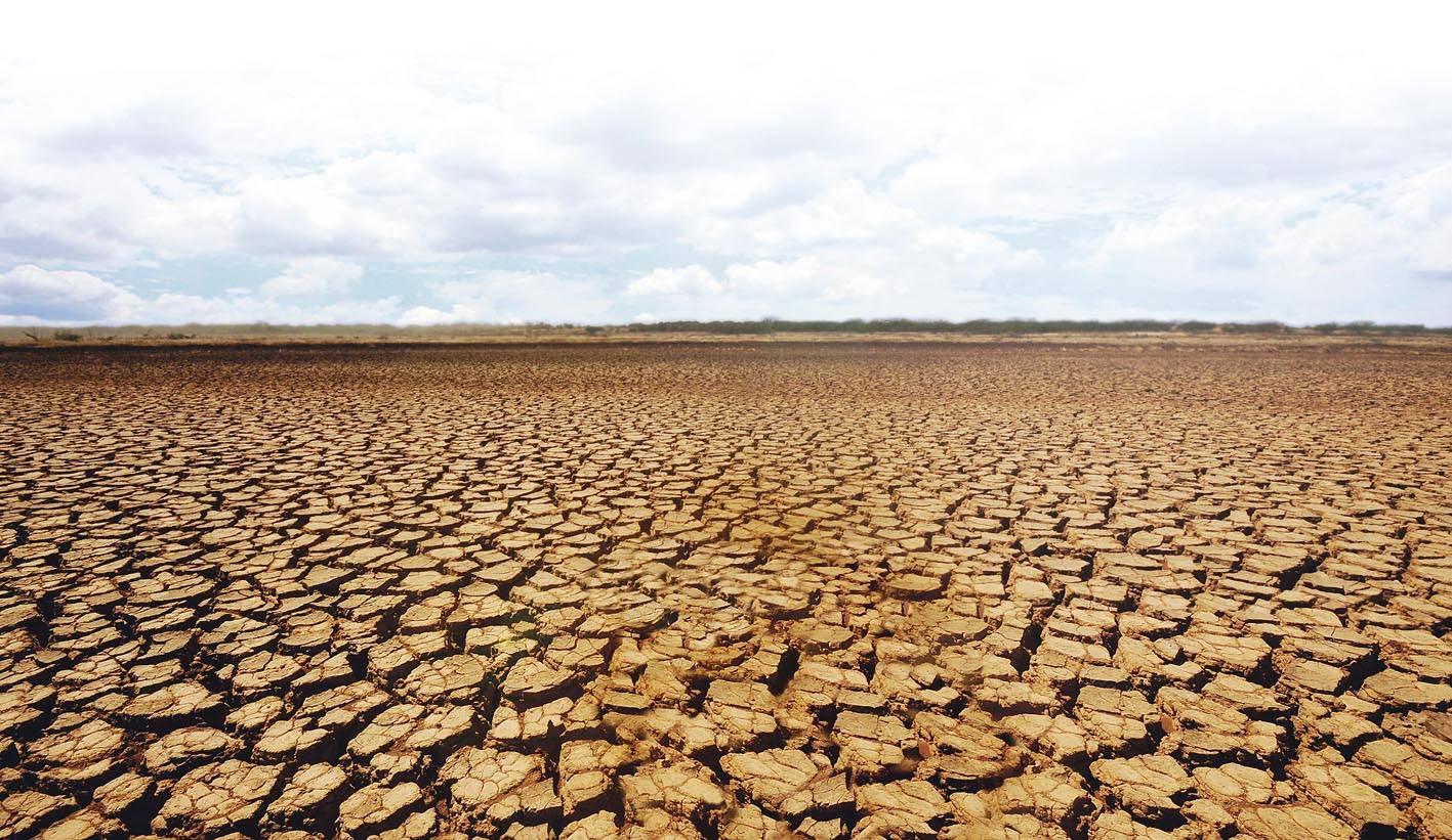 Ziua c&acirc;nd Rom&acirc;nia a fiert. &rdquo;S-a m&acirc;ncat mămăligă de orz, caii au căzut din picioare&rdquo;. + 44,5 grade C