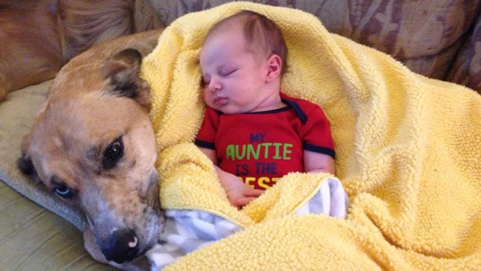 Emoționant!  Un c&acirc;ine și-a sacrificat viața pentru a salva un copil din incendiu