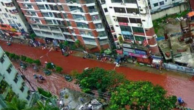 Străzile unui oraș s-au umplut peste noapte de râuri de sânge, deși n-a murit niciun om! Ce s-a întâmplat, mai exact?