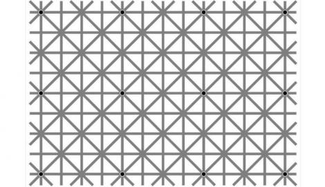 Iluzia optică devenită virală! I-a înnebunit pe internauți. Tu chiar poţi vedea cele 12 puncte negre din imagine?