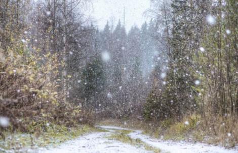 Ninge în România! Imagini LIVE cu primul strat de zăpadă așternut în țara noastră