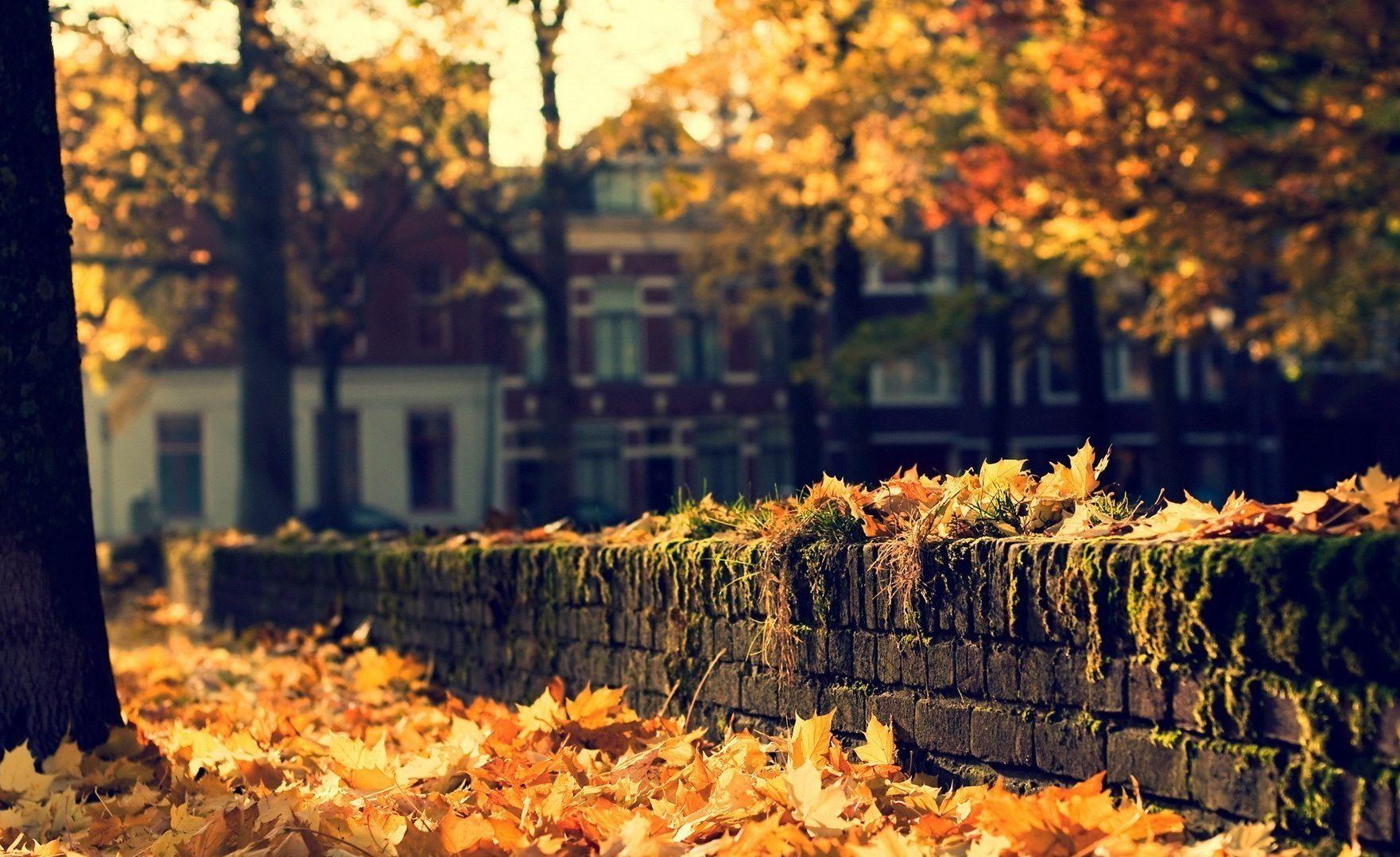 HOROSCOPUL TOAMNEI: Săgetătorule, preocupările pe care le ai pot cunoaşte o transformare profundă