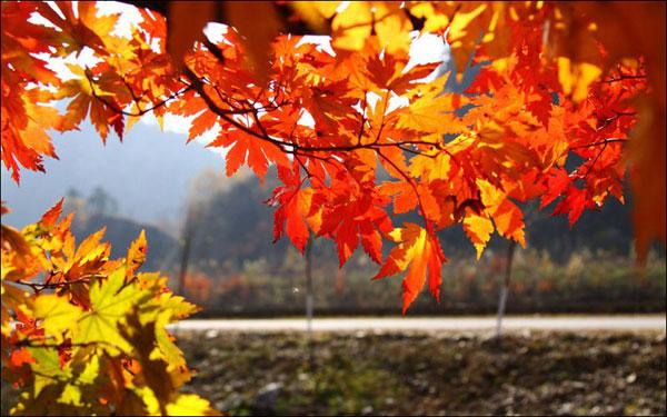 Vremea ne va surprinde din nou! Zile de toamnă frumoase şi cer variabil