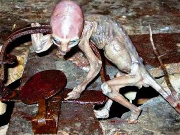 Mark Zuckerberg și Stephen Hawking dau bani grei pentru a găsi extratereștri