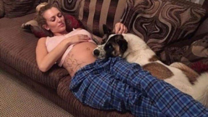 Acest c&acirc;ine se așeza mereu pe burta ei și habar nu avea de ce. P&acirc;nă la urmă, a ajuns la spital, iar vestea o lăsat-o mască