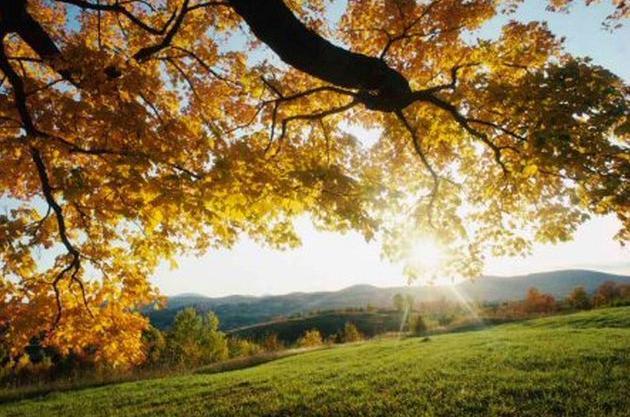 Vremea schimbă foaia! Prognoza meteo pentru zilele următoare