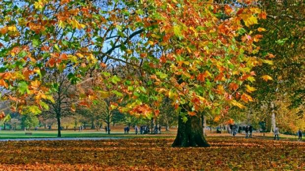 Scădere accentuată a temperaturilor! Prognoza meteo p&acirc;nă pe 18 septembrie