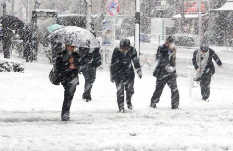 Revin ninsorile în București și alte 15 județe. Meteorologii au emis COD PORTOCALIU de viscol, din seara zilei de marți