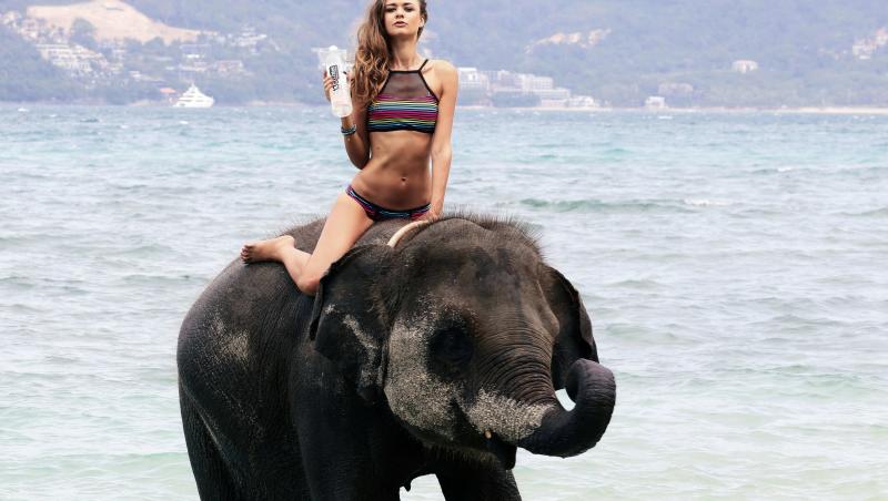 Galerie FOTO: O să ajungi tare-n trompă! Frumoasa şi elefantul, într-o şedinţă foto incendiară