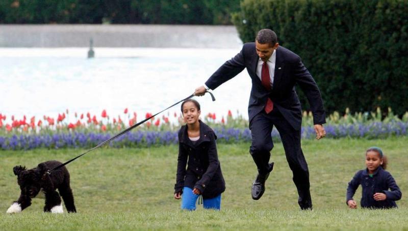 Imagini ȘOC. A curs sânge la Casa Albă! O adolescentă a fost mușcată de față de unul dintre câinii familiei Obama