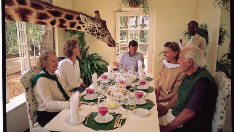 Singurul loc din lume în care poți lua masa cu... girafele. Animalele bagă capul prin ferestrele deschise și se servesc. Imaginile sunt adorabile!