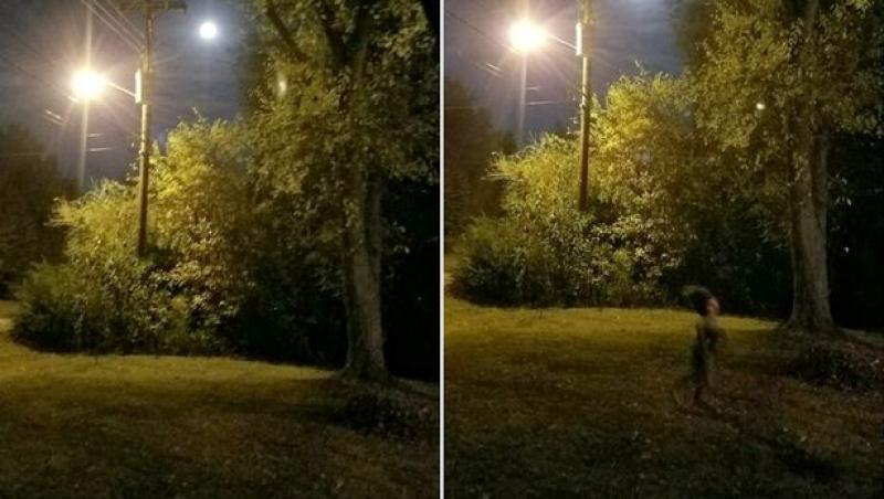 Oamenii au vrut să pozeze luna de pe cer, dar apoi au rămas îngroziți! Ce obiect bizar a apărut în imagine