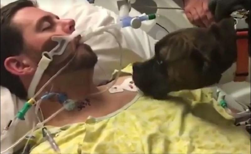 Devotamentul animalelor te lasă fără cuvinte... Un c&acirc;ine &icirc;și ia rămas bun de la stăp&acirc;nul lui, aflat pe patul de moarte. Nu &icirc;ți poți opri lacrimile (VIDEO)