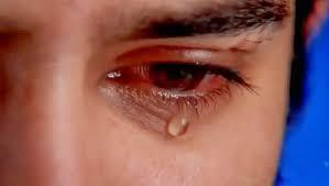 INCENDIU BAMBOO! T&acirc;năr rom&acirc;n: &bdquo;Puteau muri foarte uşor la fel de mulţi ca la Colectiv. Ce se petrece &icirc;n ţara asta?&rdquo;