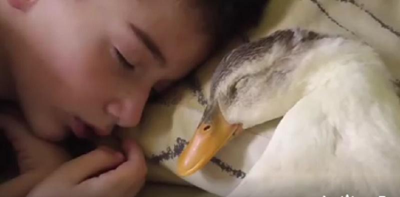 C&acirc;ți și-ar dori să facă asta? Peste 30 de milioane de oameni au privit aceste imagini cu emoții: "Parcă nu pot crede ce văd"