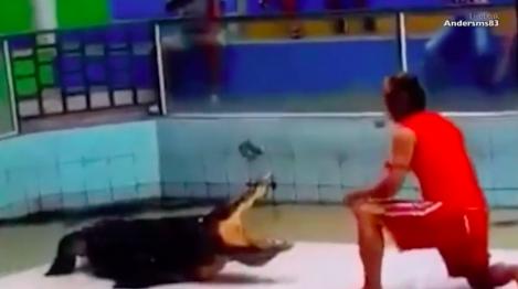 VIDEO: Nu da click dacă stai prost cu inima! Un crocodil își ATACĂ îngrijitorul în fața spectatorilor