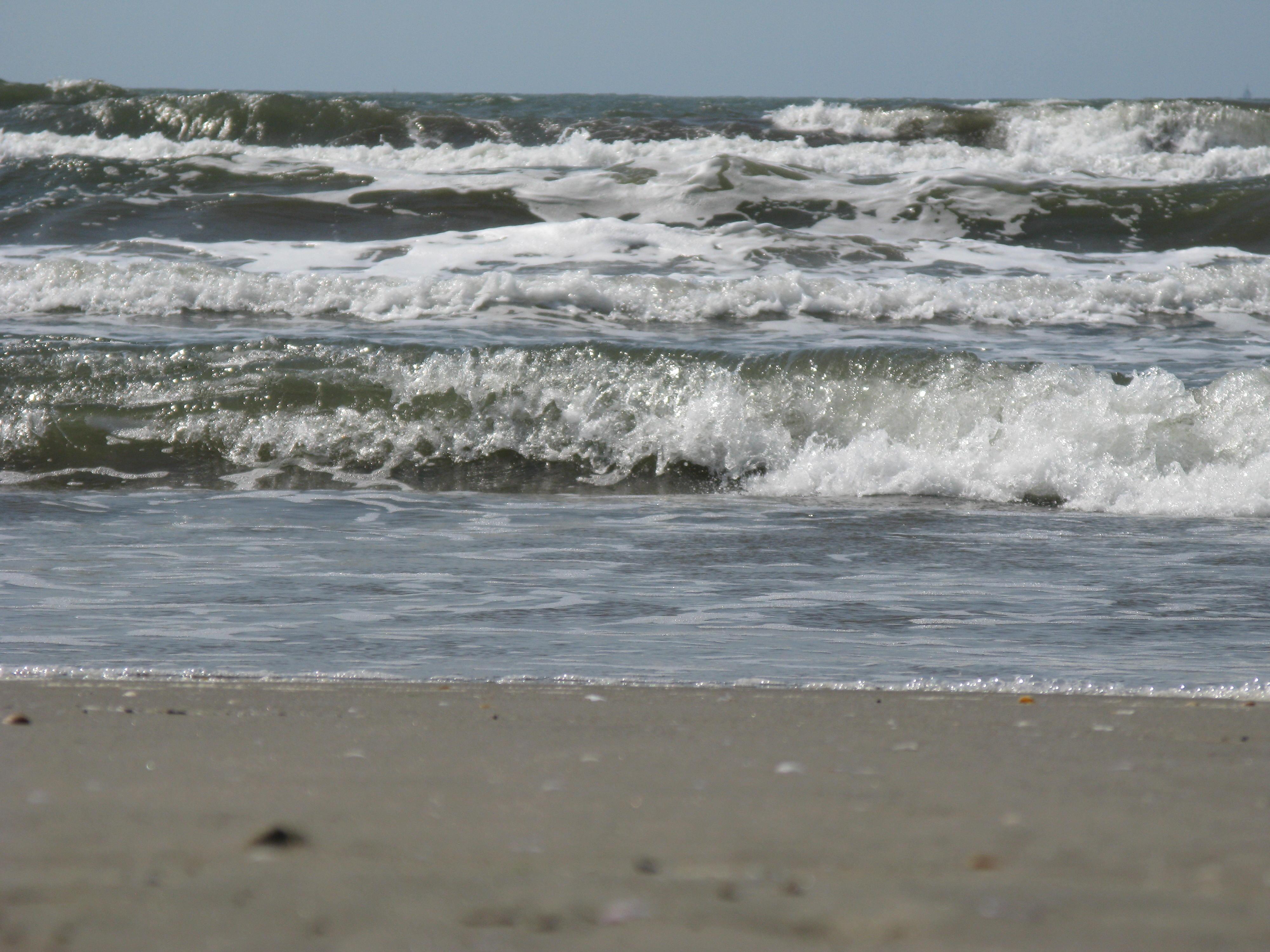 Fenomen cumplit la malul Mării Negre! Specialiștii au intrat &icirc;n stare de alertă! Ce s-a găsit &icirc;n stațiunea Mamaia