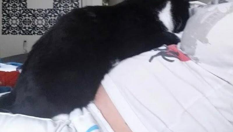 Pisica din imagine se așeza mereu pe burta acestei femei însărcinate. Când a venit bebelușul pe lume, totul s-a schimbat. Ce-i făcea animalul micuțului