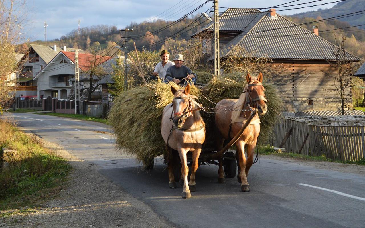 Minune dumnezeiască &icirc;n Giurgiu! Localnicii și-au pus m&acirc;inile &icirc;n cap atunci c&acirc;nd au văzut miracolul &icirc;nt&acirc;mplat pe l&acirc;ngă casele lor!