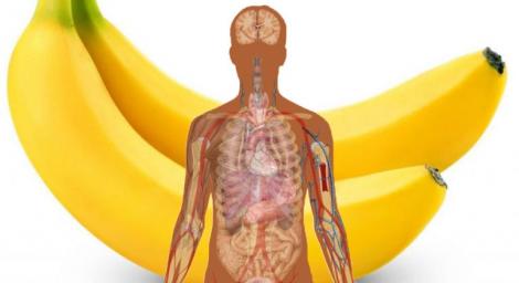 Puțini sunt cei care au descoperit efectele! Ce se întâmplă în corpul tău dacă mănânci două banane pe zi